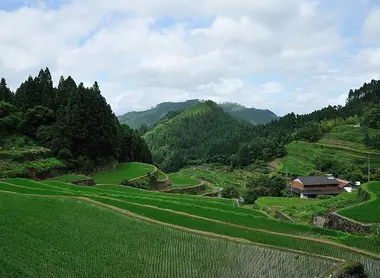 Rizières en terrasse à Ukiha