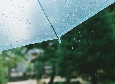 Parapluie Parapluie