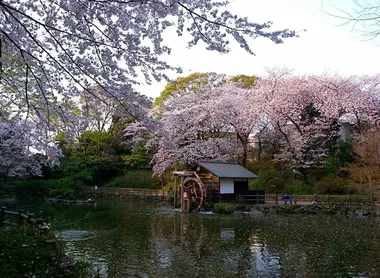 Le parc Nabeshima Shoto Le parc Nabeshima Shoto
