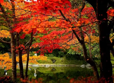 Le Parc mémorial Shôwa
