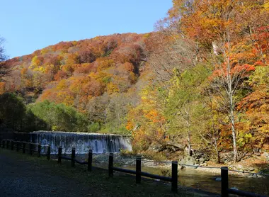 Les forêts de Shirakami-Sanchi en automne