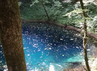Le bleu intense de l'étang Aoike