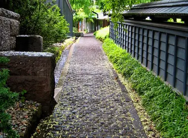 La ruelle aux châtaigniers La ruelle aux châtaigniers