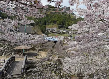 Okawachiyama au moment des cerisiers en fleurs