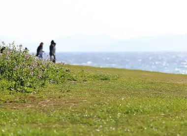 La nature en bord de mer sur l'île de Shikanoshima La nature en bord de mer sur l'île de Shikanoshima