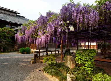 Le musée des cultures du nord Niigata Maison Ito