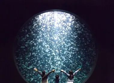 Tsuruoka Aquarium Le plus grand bassin de méduses du monde de cinq mètres de profondeur