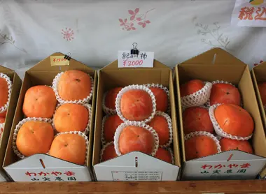 Des kakis de la préfecture de Wakayama