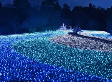 Les illuminations du "Corridor du bonheur" à Nara Les illuminations du "Corridor du bonheur" à Nara