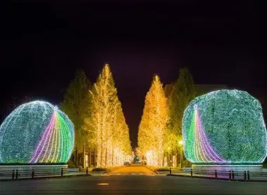 L'avenue des arbres illuminés devant le siège de Rohm à Kyoto L'avenue des arbres illuminés devant le siège de Rohm à Kyoto