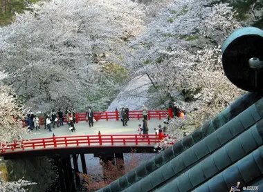 Vue du parc de Hirosaki depuis le toit du château, au moment des cerisiers en fleurs Vue du parc de Hirosaki depuis le toit du château, au moment des cerisiers en fleurs