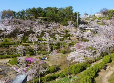 Le parc du temple Senkô-ji au printemps Le parc du temple Senkô-ji au printemps