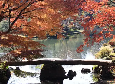 Le jardin Rikugi-en en automne