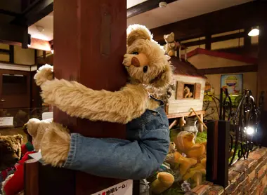 Un ourson vous fait les yeux doux et s'accroche... à vous ?!