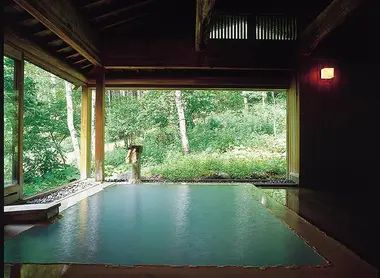 Onsen entre intérieur et extérieur, entouré par une nature luxuriante