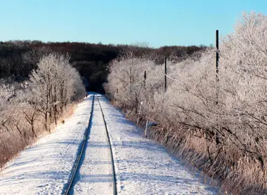 Le givre du matin vu depuis un train sur la ligne JR Senmô Le givre du matin vu depuis un train sur la ligne JR Senmô