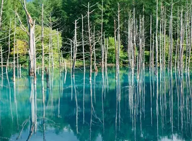 Biei Aoi ike, l'étang bleu Biei Aoi ike, l'étang bleu