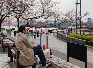 Hanami : une coutume aussi pour les âmes solitaires !