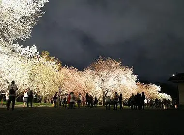 Vue de nuit au château Nijo de Kyoto