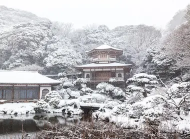 Scène rare au temple Kômyô-ji de Kamakura : le jardin sous la neige Scène rare au temple Kômyô-ji de Kamakura : le jardin sous la neige