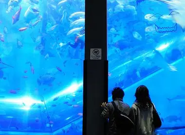 Aquarium Yokohama Hakkeijima Sea Paradise près de Tokyo