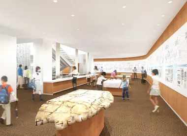 Des documents anciens, comme les carapaces de tortues, reviennent sur l'histoire des kanji