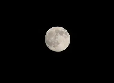The Tsukimi, or contemplation of the Moon The Tsukimi, or contemplation of the Moon