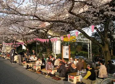 Divers stands de nourritures et de jeux s'alignent sous les arbres fleuris le long de la Sumida à tokyo
