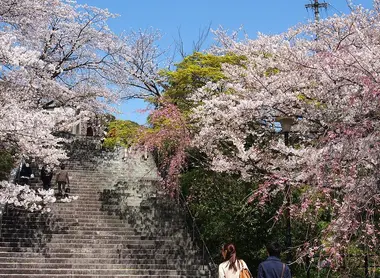 Nishi koen park steps, near Terumo jinja shrine, Fukuok Nishi koen park steps, near Terumo jinja shrine, Fukuok
