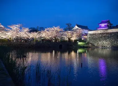 Illuminations at Fukuoka Castle, located in the heart of Maizuru Park.