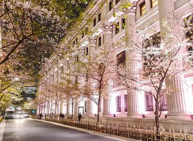 Les bâtiments des grands magasins se parent de rose comme les cerisiers en fleurs à Nihonbashi Les bâtiments des grands magasins se parent de rose comme les cerisiers en fleurs à Nihonbashi