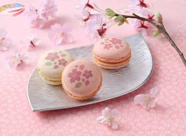 Les macarons au cerisier du centre commercial TOKYO Solamachi