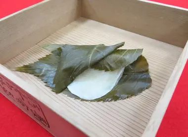 Le sakura mochi (gâteau au riz) et ses feuilles de cerisier, une pâtisserie vieille de 300 ans Le sakura mochi (gâteau au riz) et ses feuilles de cerisier, une pâtisserie vieille de 300 ans