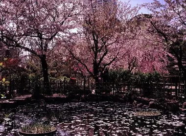 Le jardin Shukkei-en à Hiroshima