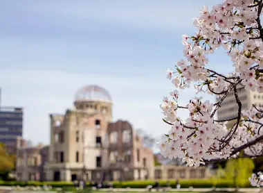 Hanami depuis les rives de la rivière Motoyasu à hiroshima 
