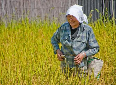Les agriculteurs prient pour de bonnes récoltes lors de l'équinoxe de printemps, shunbun no hi Les agriculteurs prient pour de bonnes récoltes lors de l'équinoxe de printemps, shunbun no hi