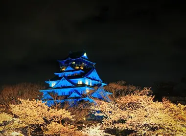 Admirez les "yozakura", cerisiers nocturnes, au parc du château d'Osaka Admirez les "yozakura", cerisiers nocturnes, au parc du château d'Osaka
