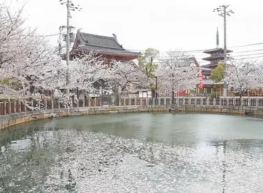 Le jardin du Shi-tennoji Le jardin du Shi-tennoji