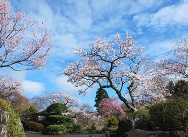 Le parc Gora à Hakone