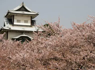 Le parc du château de Kanazawa