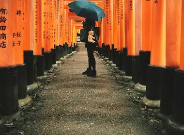 Le temple Fushimi Inari Taisha, à Kyoto, sous la pluie