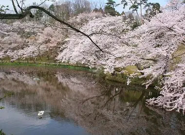 L'étang du parc Oku utatsuyama kôen à Kanazawa