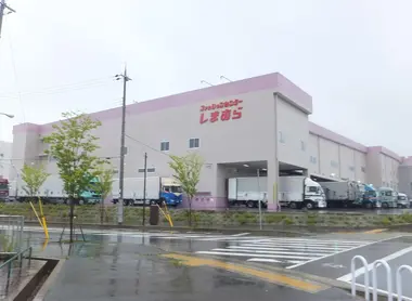 Shimamura Shimamura