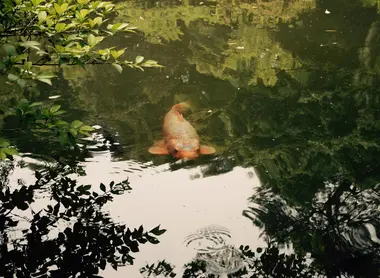 Pause méditative à Kanazawa