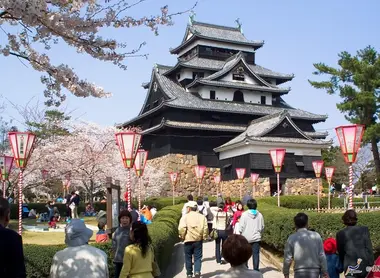Le château de Matsue au moment des cerisiers en fleurs