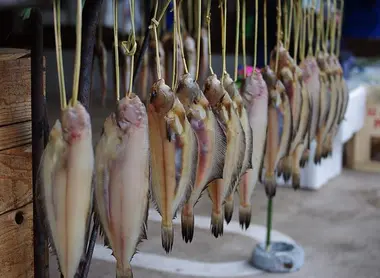 Seafood at morning market of Wajima, Noto Peninsula