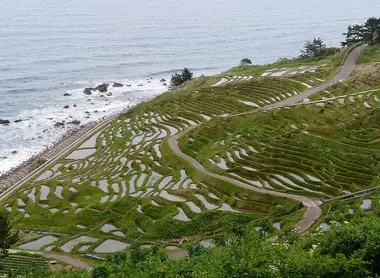 Les rizières en terrasse de Senmaida