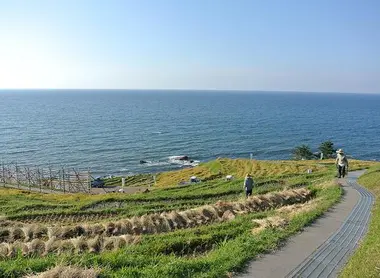 Les champs et rizières en terrasse de Senmaida