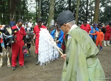 El julio en Miyazaki (Kyushu) se celebra el festival Ushigoe. El julio en Miyazaki (Kyushu) se celebra el festival Ushigoe.