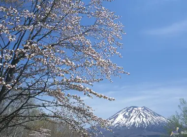 Le Mont Yôtei rappelle par sa silhouette le Mont Fuji Le Mont Yôtei rappelle par sa silhouette le Mont Fuji